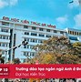 Chuyên Ngành Ngôn Ngữ Anh Đại Học Ngoại Ngữ Đà Nẵng Điểm Chuẩn