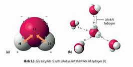 Nước Là Gì Trong Hóa Học