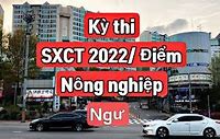 Xkld Cộng Hòa Séc 2022 Mới Nhất Hôm